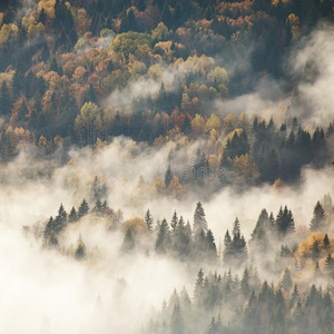 秋天雾山景色