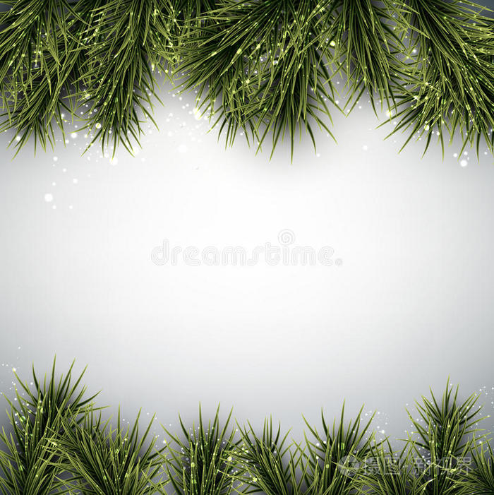 圣诞背景云杉树枝。