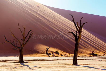 纳米布沙漠隐伏伏的美丽景观