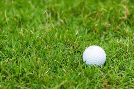 草地上的高尔夫球
