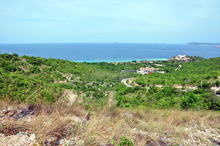 泰国芭堤雅koh larn