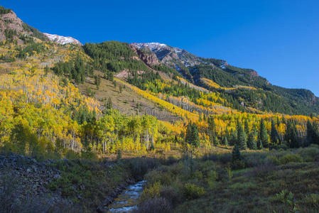 栗色铃铛附近的栗色溪流秋叶照片