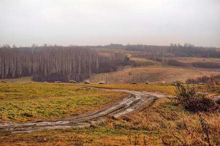 田野里的路