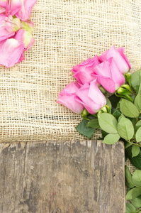浪漫的厄瓜多尔粉红玫瑰花束