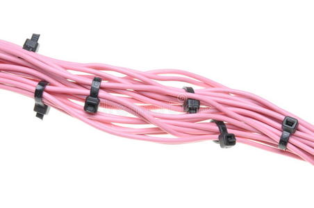 带黑色扎带的粉红色电缆束