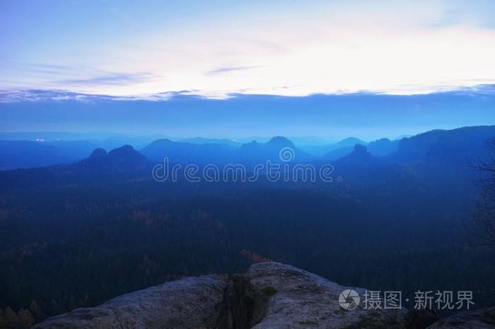 朦胧忧郁的早晨。从白桦树上俯瞰深谷，浓雾弥漫。黎明时分的秋景。