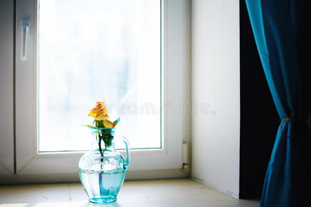 窗边蓝色花瓶里的玫瑰花
