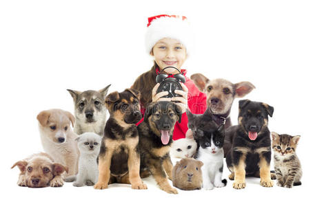 儿童和宠物孩子抱着小猫.儿童和宠物.