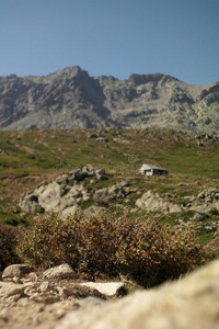 挪威 文化 石头 峭壁 岩石 北欧 自然 灌木 小山 风景