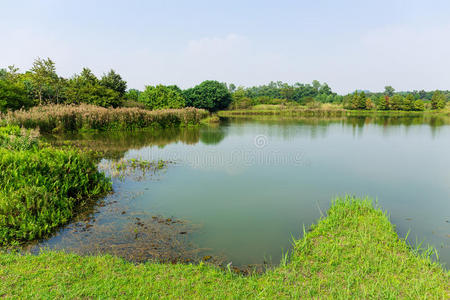 渔业湿地