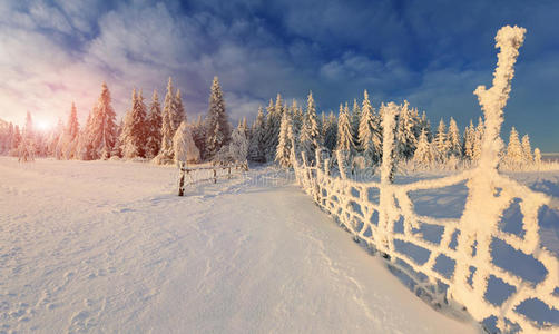 山林中美丽的冬季景观。