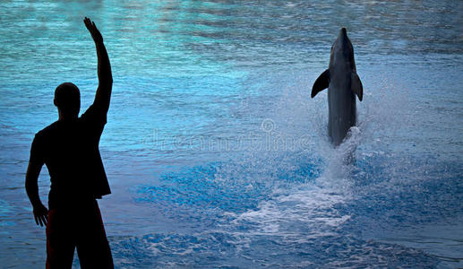 海豚训练