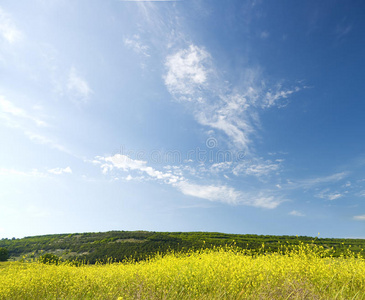 山中的田野