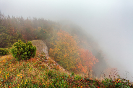 秋天的树林与雾，雾