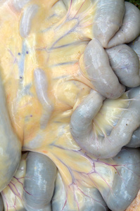 不同的面部表情的概念对笔记本计算机坐在户外工作, 焦虑的人男孩不