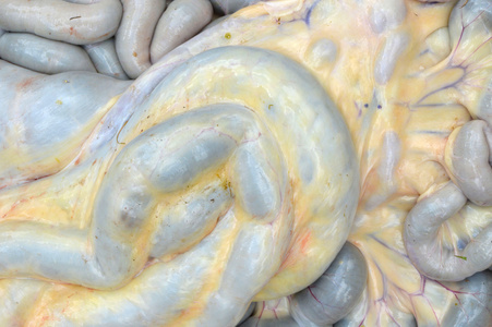 牛的肠子在腹部土耳其传统的内脏食物uykuluk由动物腺体,胰腺或肋骨制