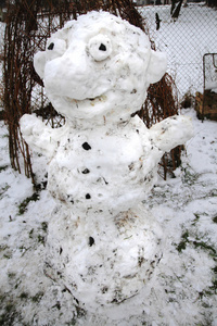 雪人从真正的雪