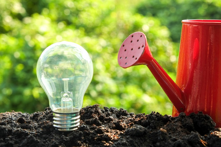 在土壤中的想法和能量概念灯泡