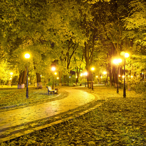 美丽的秋天城市公园在晚上图片