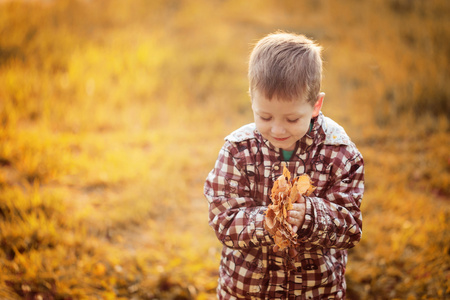 小男孩扔树叶在秋天的公园   copyspace