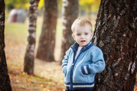 肖像可爱小微笑的男孩在一件针织毛衣在附近一棵树在秋天公园玩耍