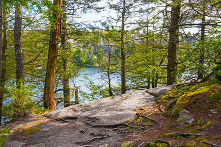 minnewaska 湖景观