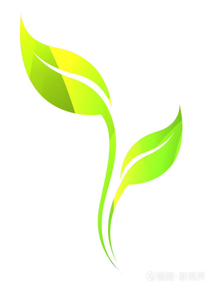 矢量绿色春天叶上白色孤立.颜色生态图标