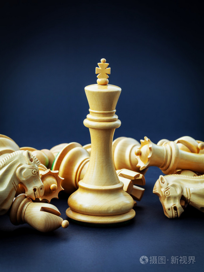 国际象棋概念救国王和保存策略