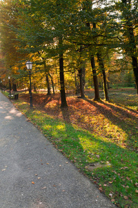 秋天在公园 Maksimir