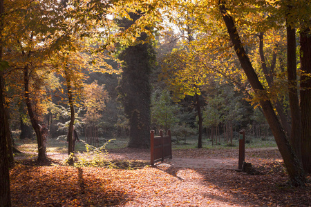 秋天在公园 Maksimir