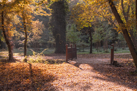 秋天在公园 Maksimir