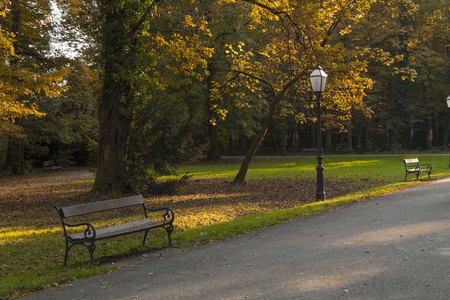 秋天在公园 Maksimir