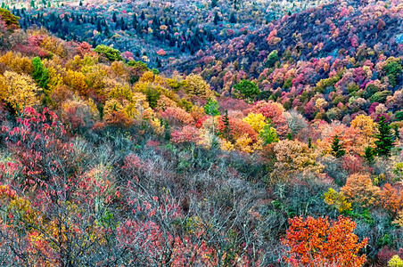 秋天的驱动器上 blue ridge 大道