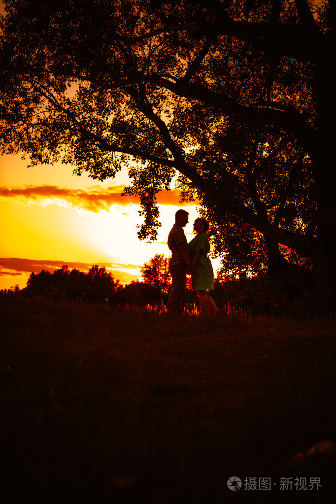 浪漫的情侣站和接吻背景夏天草地日落
