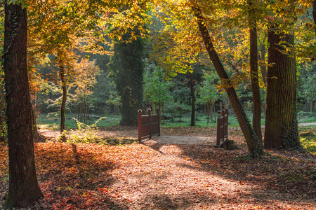 秋天在公园 Maksimir