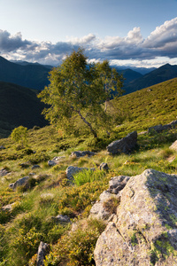 山风景阿尔卑斯山