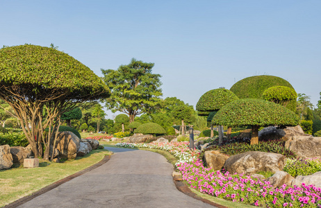 花和岩石花园