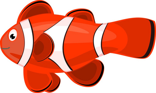 快乐的小丑鱼图片