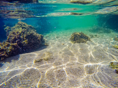 撒丁岛的岩石海藻和沙子