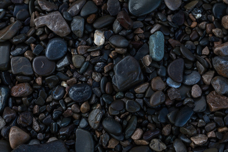 潮湿的海石的纹理图片
