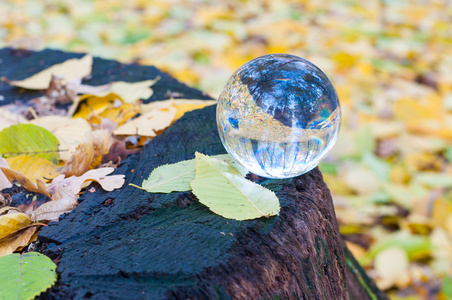 玻璃透明球与黄色秋叶背景和木表面。软对焦。用空白的空间来显示文本