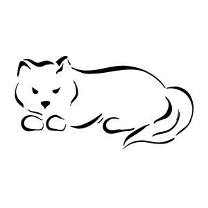 图猫黑色线条照片