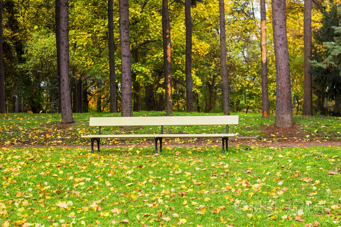木公园的长椅上