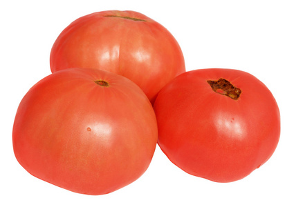 在白色背景上的三个番茄