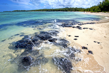 海滩 ile 杜芬岛海藻在印度