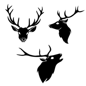 平面设计鹿头部轮廓与角黑白色背景上的一套照片