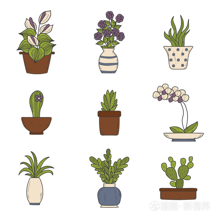 室内盆栽植物卡通图标