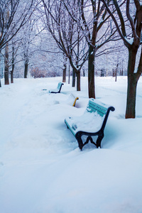 冬季下雪长椅公园