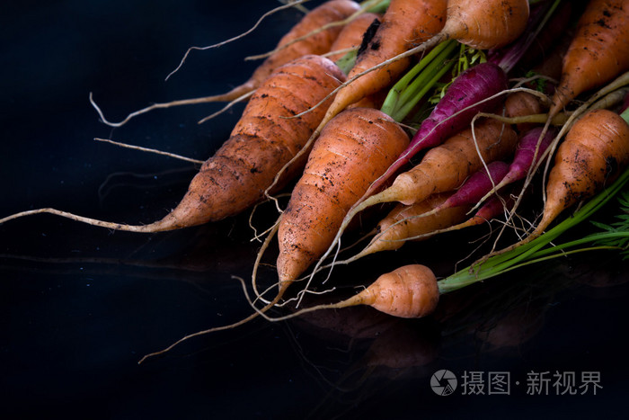 花园里的新鲜胡萝卜