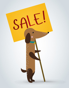 猫,宠物,动物,手,手,手,手,手,手照片